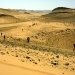 Wüstenglück – Im Laufschritt durch die Sahara – Der Marathon des Sables